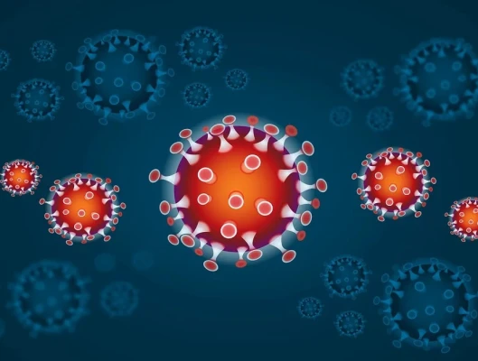 Παράταση της ισχύος των μέτρων στην αγορά εργασίας για την αντιμετώπιση του κορωνοϊού COVID-19