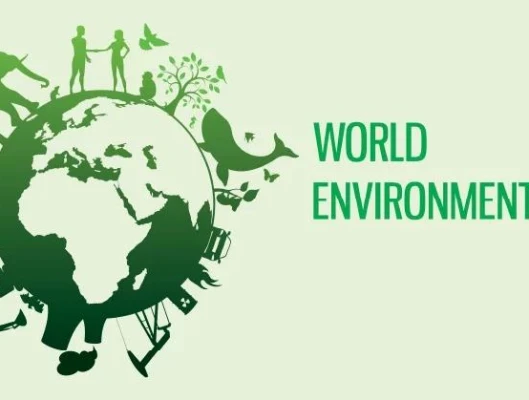 Παγκόσμια Ημέρα Περιβάλλοντος 2024