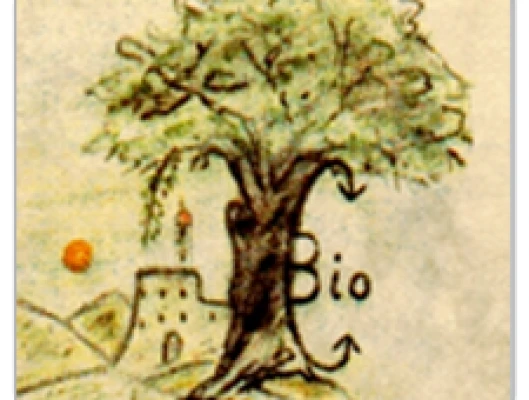 ΠΑΡΑΝΟΜΗ ΚΑΙ ΚΑΤΑΧΡΗΣΤΙΚΗ Η ΣΥΜΠΕΡΙΦΟΡΑ ΤΗΣ ΕΤΑΙΡΕΙΑΣ ΒΙΟΚΑΛΛΙΕΡΓΗΤΕΣ Α.E.