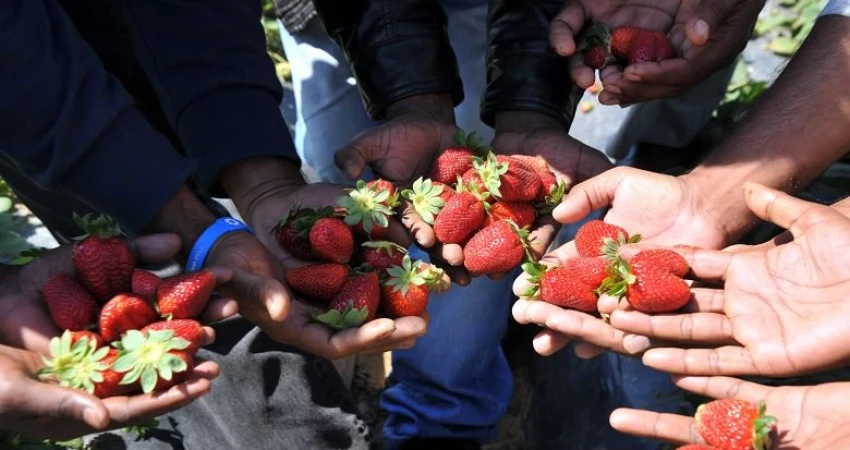 ΟΧΙ ΑΛΛΑ ΚΡΟΚΟΔΕΙΛΙΑ ΔΑΚΡΥΑ ΓΙΑ ΤΙΣ «ΜΑΝΩΛΑΔΕΣ»