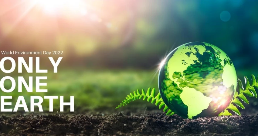 Παγκόσμια ημέρα περιβάλλοντος 5 Ιουνίου