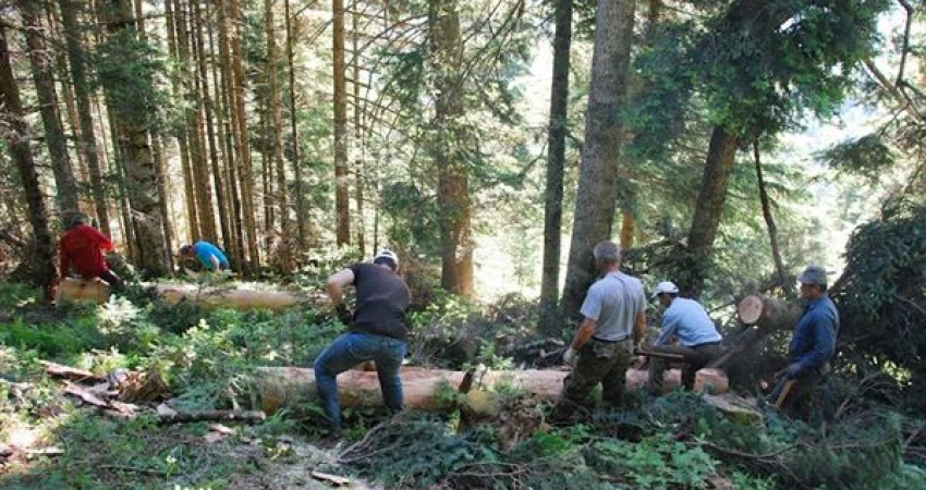 Η ΓΣΕΕ ΣΤΟ ΠΛΕΥΡΟ ΤΩΝ ΔΑΣΕΡΓΑΤΩΝ  ΤΟΥ ΚΟΙΝΩΦΕΛΟΥΣ ΠΡΟΓΡΑΜΜΑΤΟΣ ΤΟΥ ΟΑΕΔ