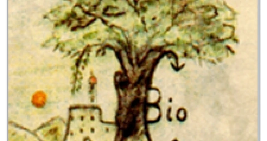 ΠΑΡΑΝΟΜΗ ΚΑΙ ΚΑΤΑΧΡΗΣΤΙΚΗ Η ΣΥΜΠΕΡΙΦΟΡΑ ΤΗΣ ΕΤΑΙΡΕΙΑΣ ΒΙΟΚΑΛΛΙΕΡΓΗΤΕΣ Α.E.